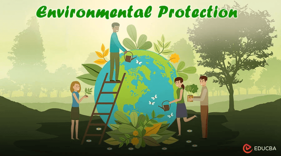Environmental Protection